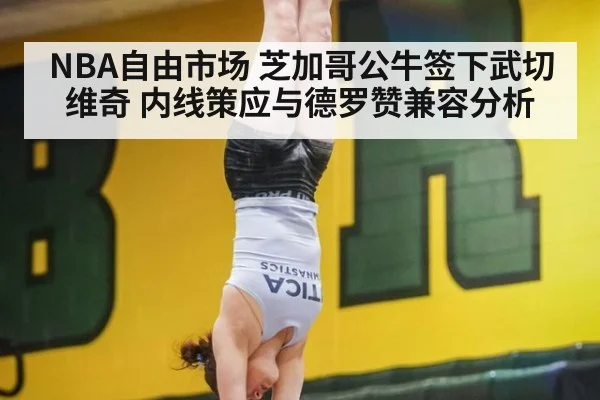 NBA自由市场 芝加哥公牛签下武切维奇 内线策应与德罗赞兼容分析